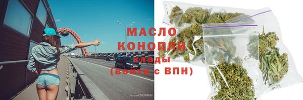 прущий лед Алзамай