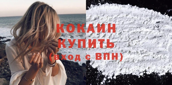 прущий лед Алзамай