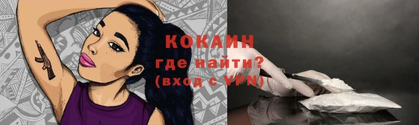 крисы Абаза