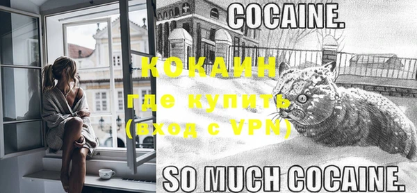 стафф Новокубанск