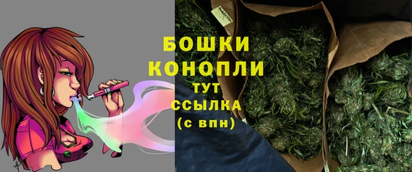 каннабис Новозыбков